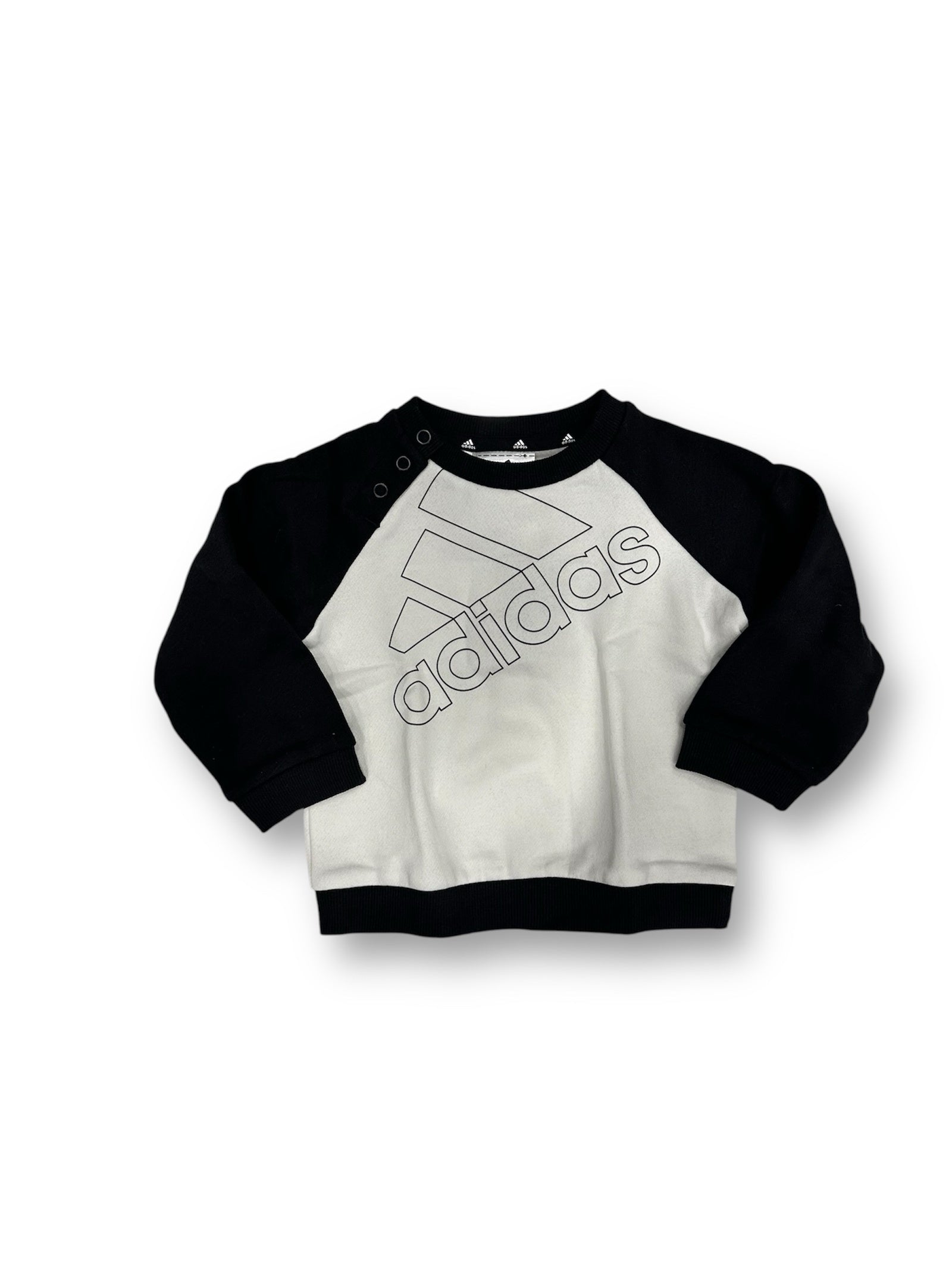 photoroom_20241212_191612